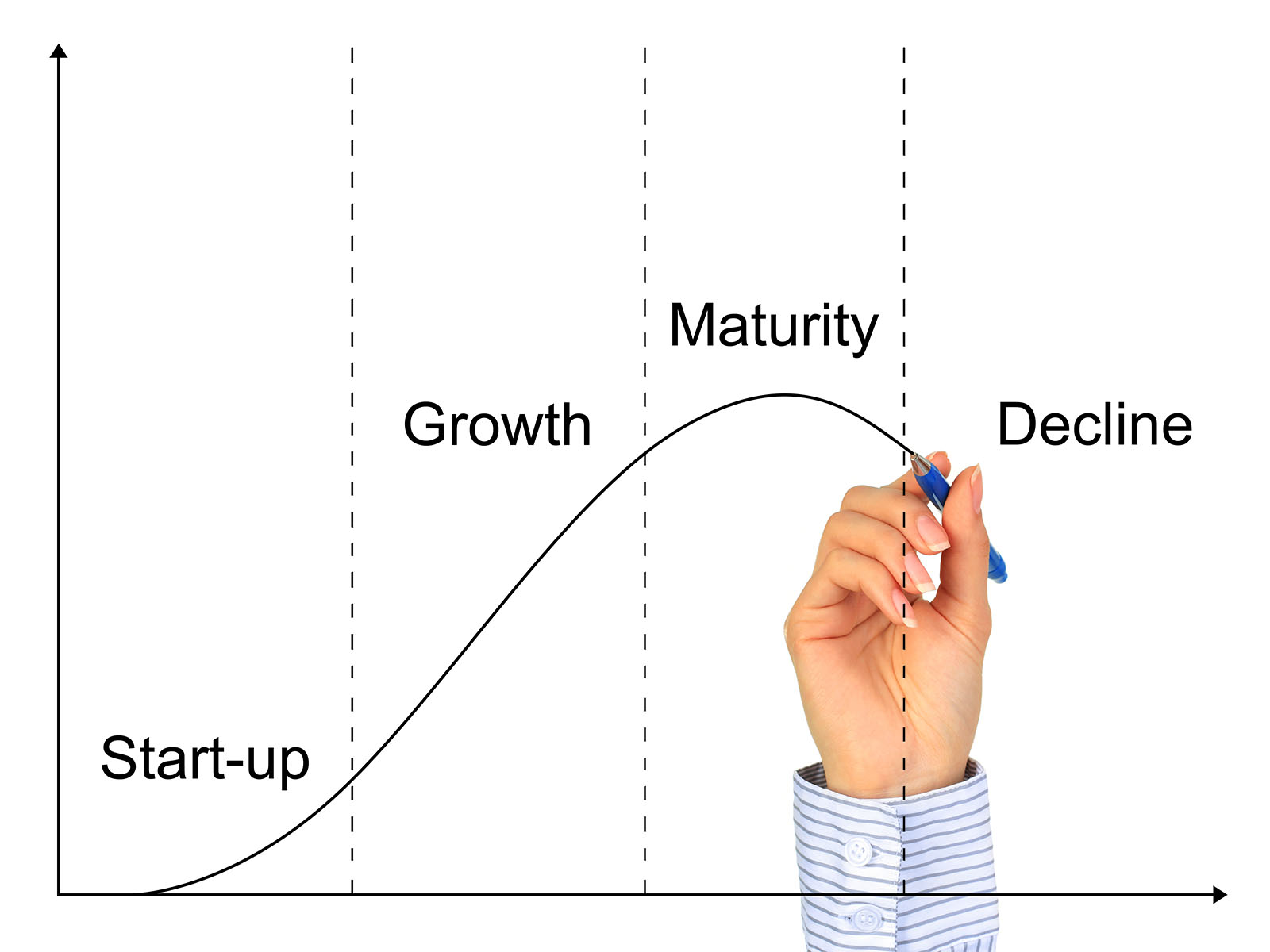 illustration of business life cycle